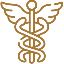 Ícone de defesa médica